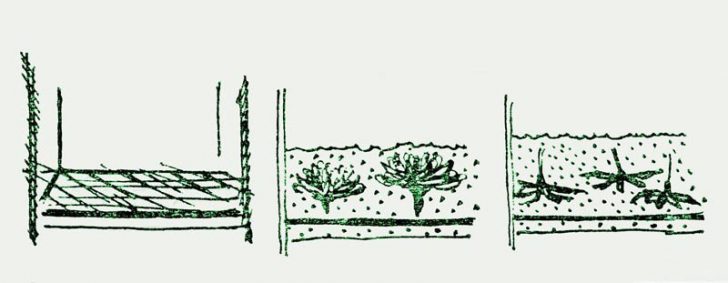 Jesienne dekoracje DIY Jesienne liście suszone w domu. Dekoracja na ścianę. Poradnik suszenia liści.