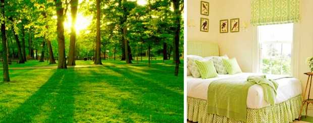 Zieleń: spokój i harmonia Zielony salon w stylu skandynawskim: kolory natury we wnętrzu 2026, małe mieszkanie.