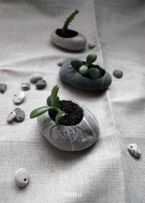 Doniczki z kamieniami Małe doniczki z roślinami ozdobione kamieniami morskimi, dekoracja DIY.