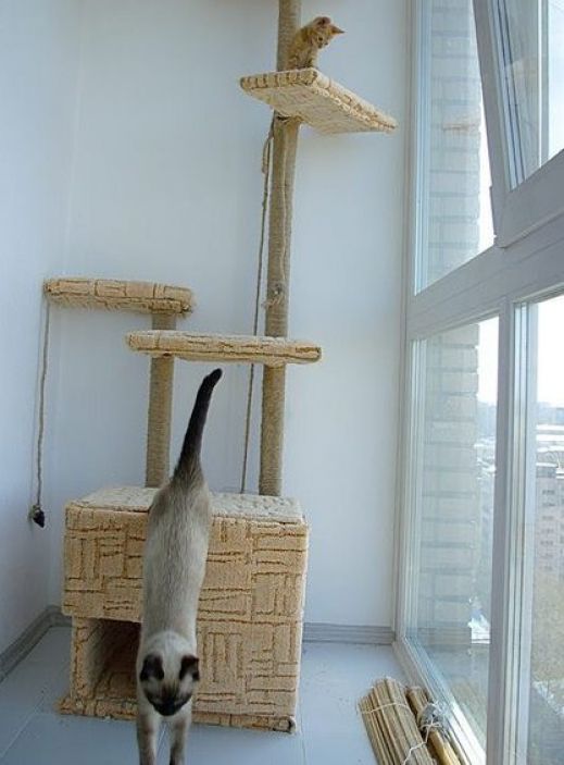 Raj dla kota Balkon dla kota: bezpieczne miejsce zabaw, drapak, domek, punkt obserwacyjny przy oknie.