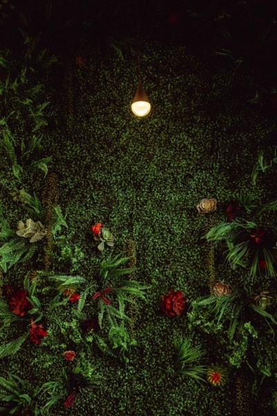 Zielona ściana w biurze Przykład wertykalnego ogrodu w biurze. Dywan roślinny w przestrzeni biurowej 2026.