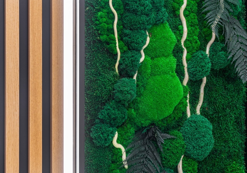 Mech i rośliny w pionie Ogród wertykalny łączący żywe rośliny ze stabilizowanym mchem. Mech stabilizowany 2026.